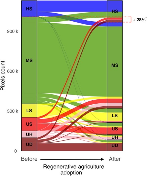 Figure 2 Price diagram.jpg